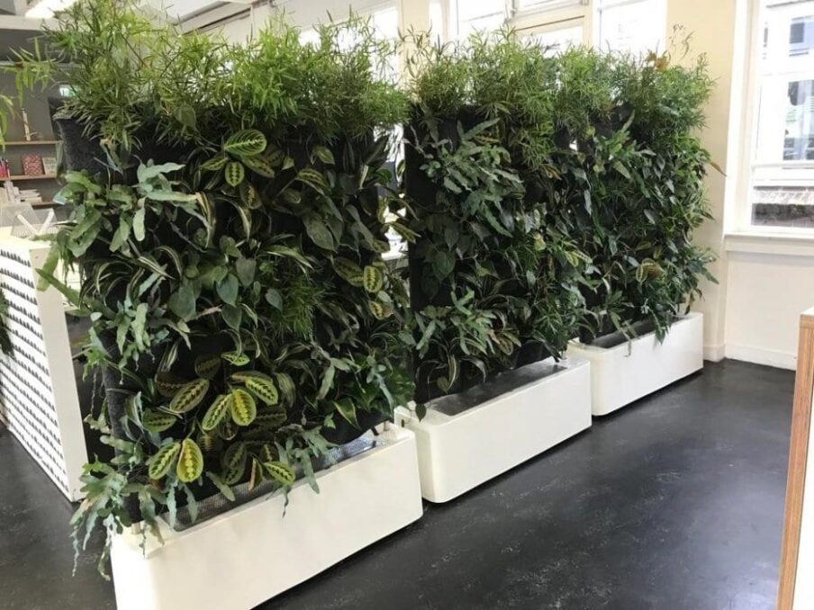 Groen kantoor met Mobiele scheidingswanden vol met planten