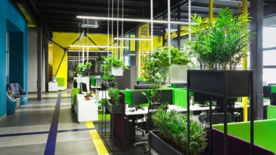 Groen kantoor met planten